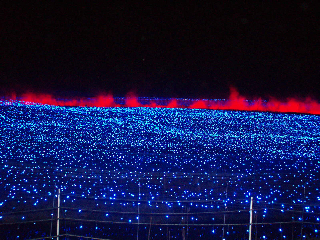 �C���~�l�[�V����