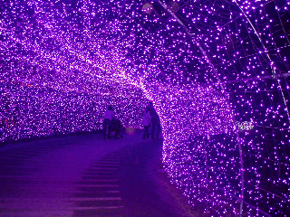 �C���~�l�[�V����