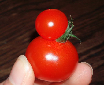 �g�}�g�����