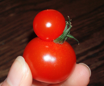 �g�}�g�����