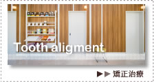 Tooth alignment�b��������